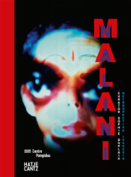 Nalini Malani - The Rebellion of the Dead. Part I