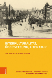 Interkulturalität, Übersetzung, Literatur