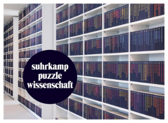 suhrkamp puzzle wissenschaft