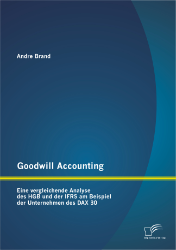 Buchcover Goodwill Accounting