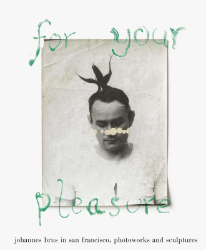 Buchcover for your pleasure - johannes brus in San Francisco, photoworks and sculptures