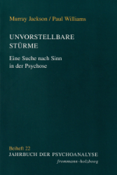 Buchcover Unvorstellbare Stürme