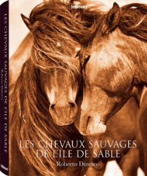 Buchcover Roberto Dutesco - The Wild Horses of Sable Island/Les chevaux sauvages de l'île ...