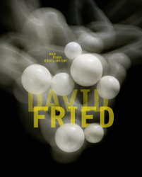 David Fried - Far From Equilibrium/Fern von Gleichgewicht