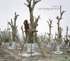 Forest / Yan Wang Preston