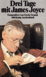 Drei Tage mit James Joyce