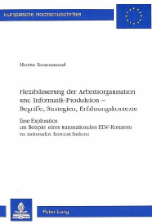 Flexibilisierung der Arbeitsorganisation und Informatik-Produktion - Begriffe, Strategien, Erfahrungskontexte