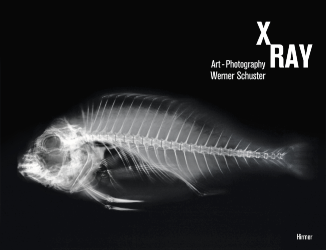 Werner Schuster - X-ray Art Photography