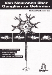 Von Neuronen über Ganglien zu Gehirnen