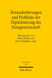 Herausforderungen und Probleme der Digitalisierung der Energiewirtschaft