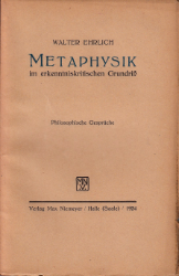 Metaphysik im erkenntniskritischen Grundriß