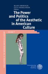 The Power and Politics of the Aesthetic in American Culture